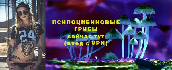 прущие крисы Алзамай
