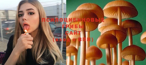 амфетамин Алексин